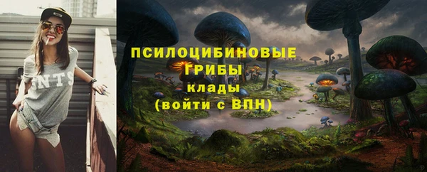 трава Алексеевка