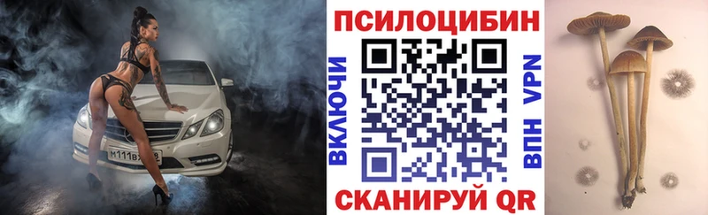 KRAKEN ссылки  Любань  Псилоцибиновые грибы GOLDEN TEACHER 