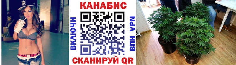 МАРИХУАНА ГИДРОПОН Любань